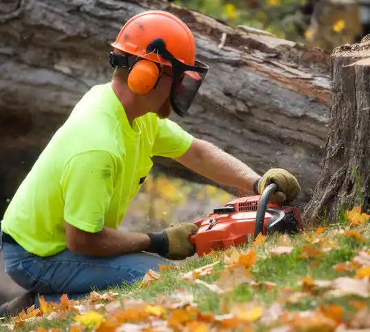 tree services Sebewaing